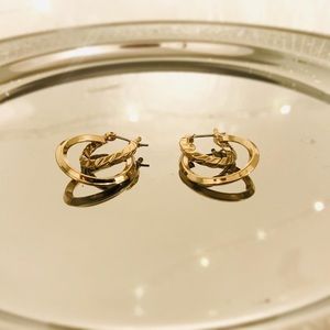 Twisted Hoop Earrings